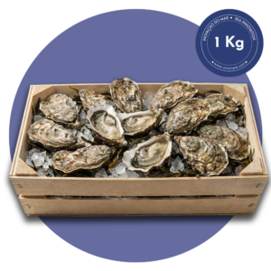 1kg ostras frescas umimare (aprox. 12 unidades)