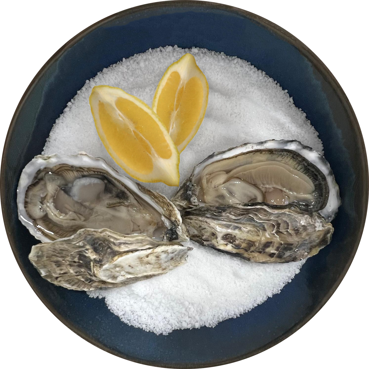 Ostras Frescas Umimare, num prato azul, com limão