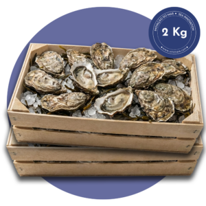2kg ostras frescas umimare (aprox. 24 unidades)