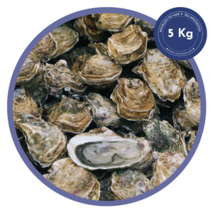 5kg ostras frescas umimare (aprox. 60 unidades)