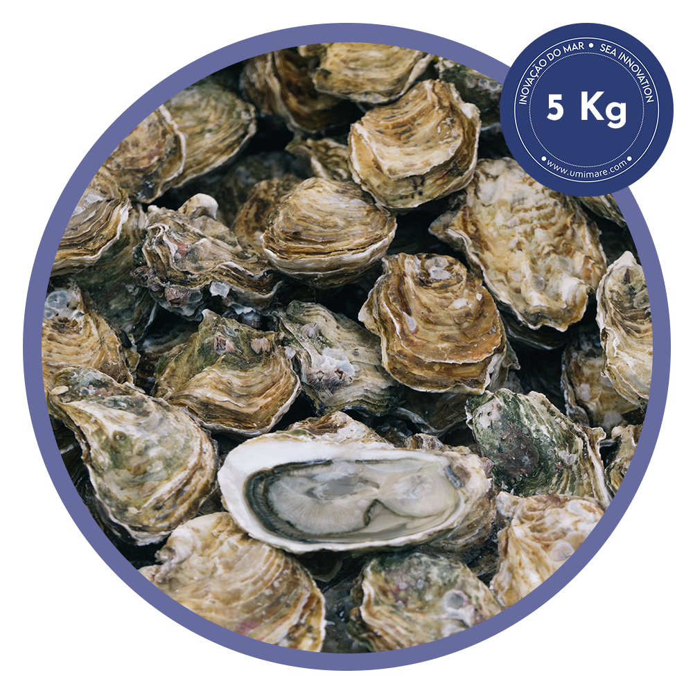 5kg ostras frescas umimare (aprox. 60 unidades) 5kg ostras frescas umimare (aprox. 60 unidades)