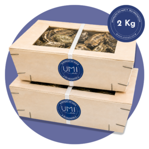 Caixa de 2kg de ostras Umimare - comprar online