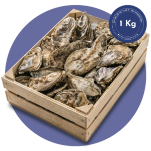 Home 1kg ostras frescas umimare (aprox. 12 unidades)