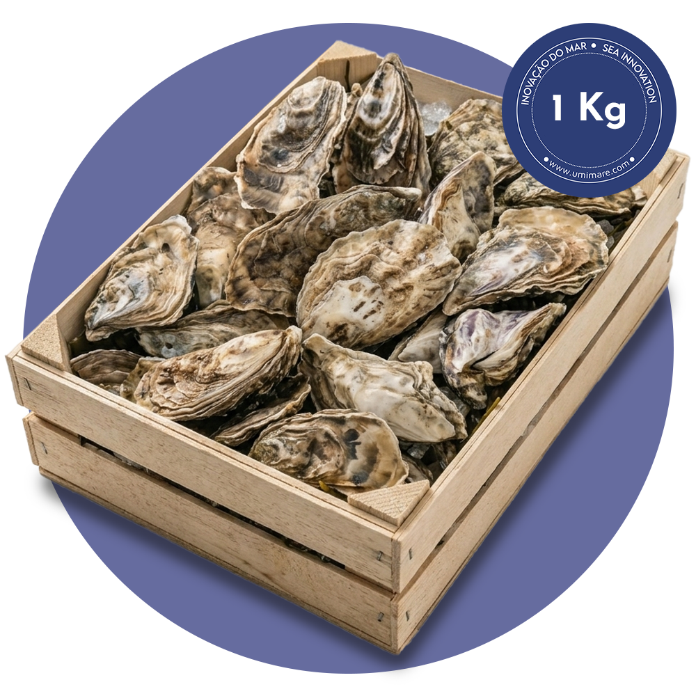 1kg ostras frescas umimare (aprox. 12 unidades) 1kg ostras frescas umimare (aprox. 12 unidades)