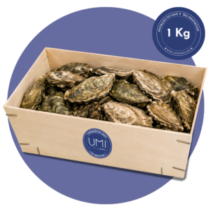 1 caixa de Ostras Frescas Umimare 1kg